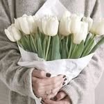 wafa nasser - @wafa_nasser1339 - Instagram