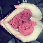 Wafa Nasser - @wafa2347 - Instagram