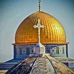 Wafa Nasser - @wafa.nasser.773 - Instagram