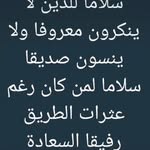 ForGaza Wafa - @wafaramadanhashim - Instagram