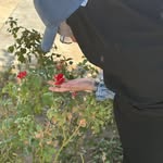 wafaa alhasani - @wafaa_alhasani84 - Instagram