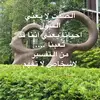 Wafaa - @wafaa_al - TikTok
