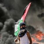 Ahmad Wafik - @ahmadwafikkhalil - Instagram