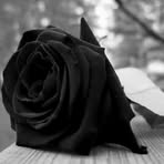 Wagner Barrera - Facebook