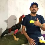 Wagner lima galo índio - @cocheira.novaconquista - Instagram