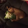 peggywagner77 - @peggywagner77 - TikTok