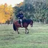 Wagner Rodrigues - @wagner__rodrigues - TikTok