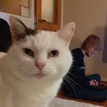 Vidar Eriksson Wahlin - @wahlinvidareriksson - Instagram