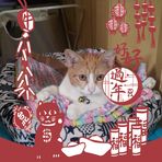 Wah Tse - Facebook