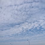 Wah Tse - @wah.tse.520 - Instagram
