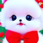 wahab Ali - @wahabali806 - Instagram