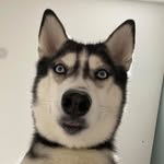 Wai Hou Leong - @waihouleong - Instagram