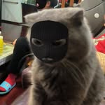 Wai Sum - @waisumho01 - Instagram