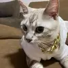 Wailoon Chan - @lubylucky - TikTok