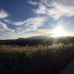 Chan Wai Man - @waiman.chan.7796 - Instagram