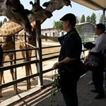 Wai Man Chang - @waiman.chang - Instagram