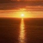 Wai Man Lam - @waiman.lam.731 - Instagram