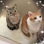 Wai Man Lam - @waiman.lam.357 - Instagram