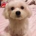 Wai Man Li - Facebook