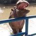 Waiman Li - Facebook