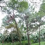 Wai Man Wu - @waiman.wu.98 - Instagram