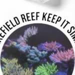Timothy Raper - @wakefield_reef_tim - Instagram