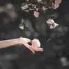 Wala Ali - @wala_almomani - TikTok