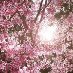 Walaa Hussein - @walaa.hussein.773 - Instagram