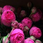 @walaa_hussein_ - Instagram
