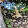 Walberto González - @walberto.gonzlez - TikTok