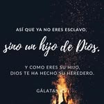 Walberto Ortiz - @walberto.ortiz - Instagram