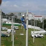 Waldemar Lopez - @waldemarlopez1 - Instagram