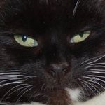 Waldemar Lorenz - @waldemar.lorenz - Instagram