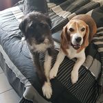 Waldo Nuñez - @walo678 - Instagram