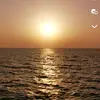 وليد - @waleed.ahmad_83 - TikTok