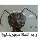 waleed bashir - @waleedbashir6 - Instagram
