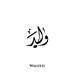Waleed Hashmi - Facebook