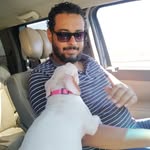 Waleed Kamel - @waleed_kamel84 - Instagram