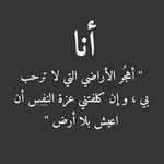 Waleed Kamel - @waleedkamel512 - Instagram