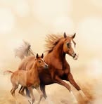 Waleed Kamel - Facebook