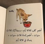 Waleed Salama - Facebook