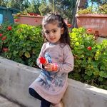 Waleed Shami - @abo_shami_93 - Instagram