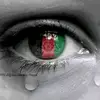 Muhammad Wali - @walihakim475gmail.co - TikTok
