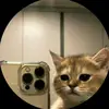 walid_abdalla - @mahdi_sisou - TikTok