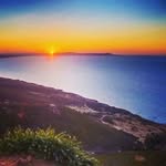 Walid Abed - @walid_abed_ - Instagram