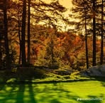 Walid Abed - Facebook