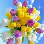 Walid Dagher - @walid.dagher - Instagram