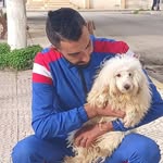 Walid Haddad - @walid8459 - Instagram