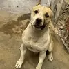 Walid Haddad - @walid.haddad66 - TikTok