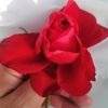 26_arw - @walidkanj_777 - TikTok